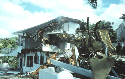 ground termite home destruction