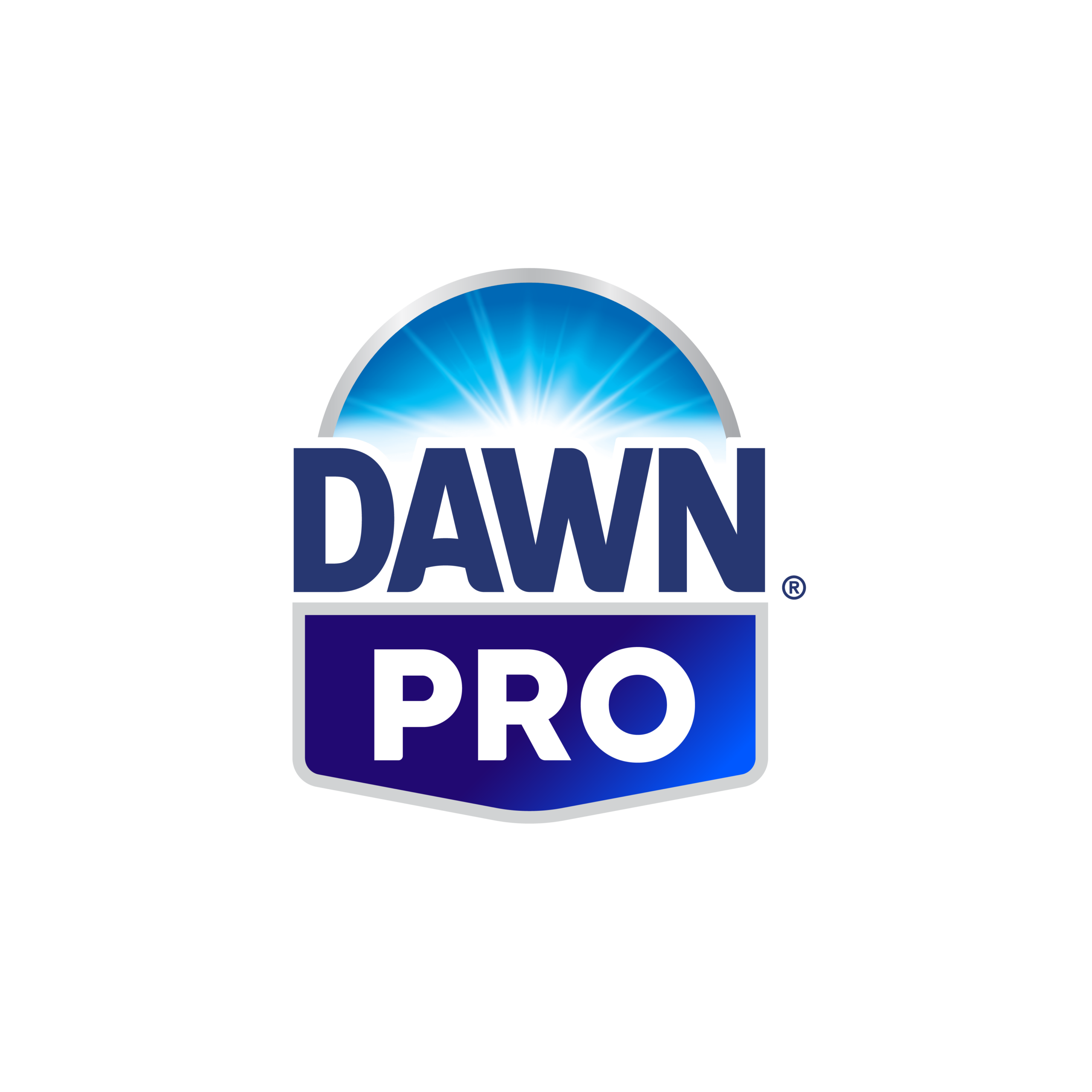Dawn Pro