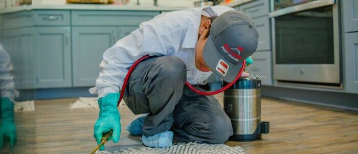 Honolulu Pest Control Image