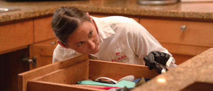 Honolulu Commercial Pest Control Image